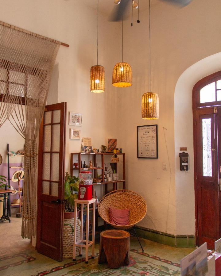 Bed and Breakfast Kuka Y Naranjo Mérida Zewnętrze zdjęcie