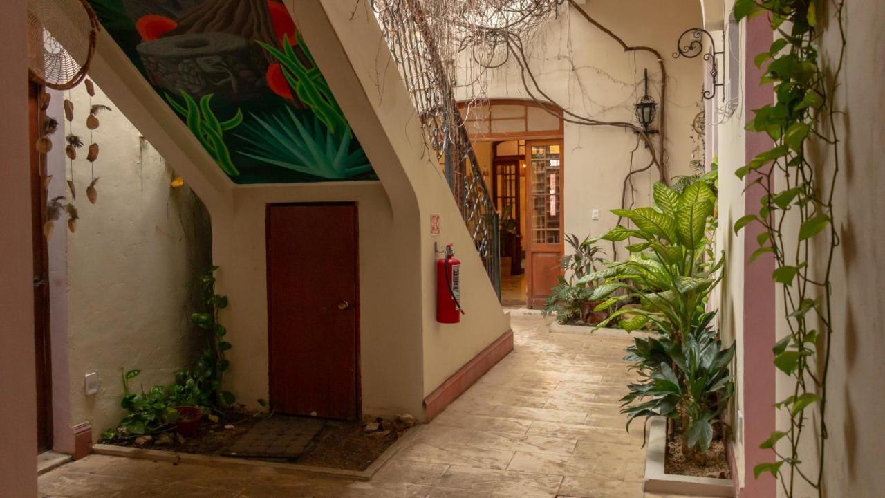 Bed and Breakfast Kuka Y Naranjo Mérida Zewnętrze zdjęcie